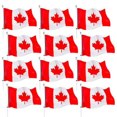 LARGE CANADA COUNTRY 5 X 3FT FLAG POLYESTER INDOOR OUTDOOR DECORATION SPORTS