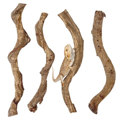 Reptile Climbing Branch Decor Wood Snake Terrarium Branches Lizard Habitat De...