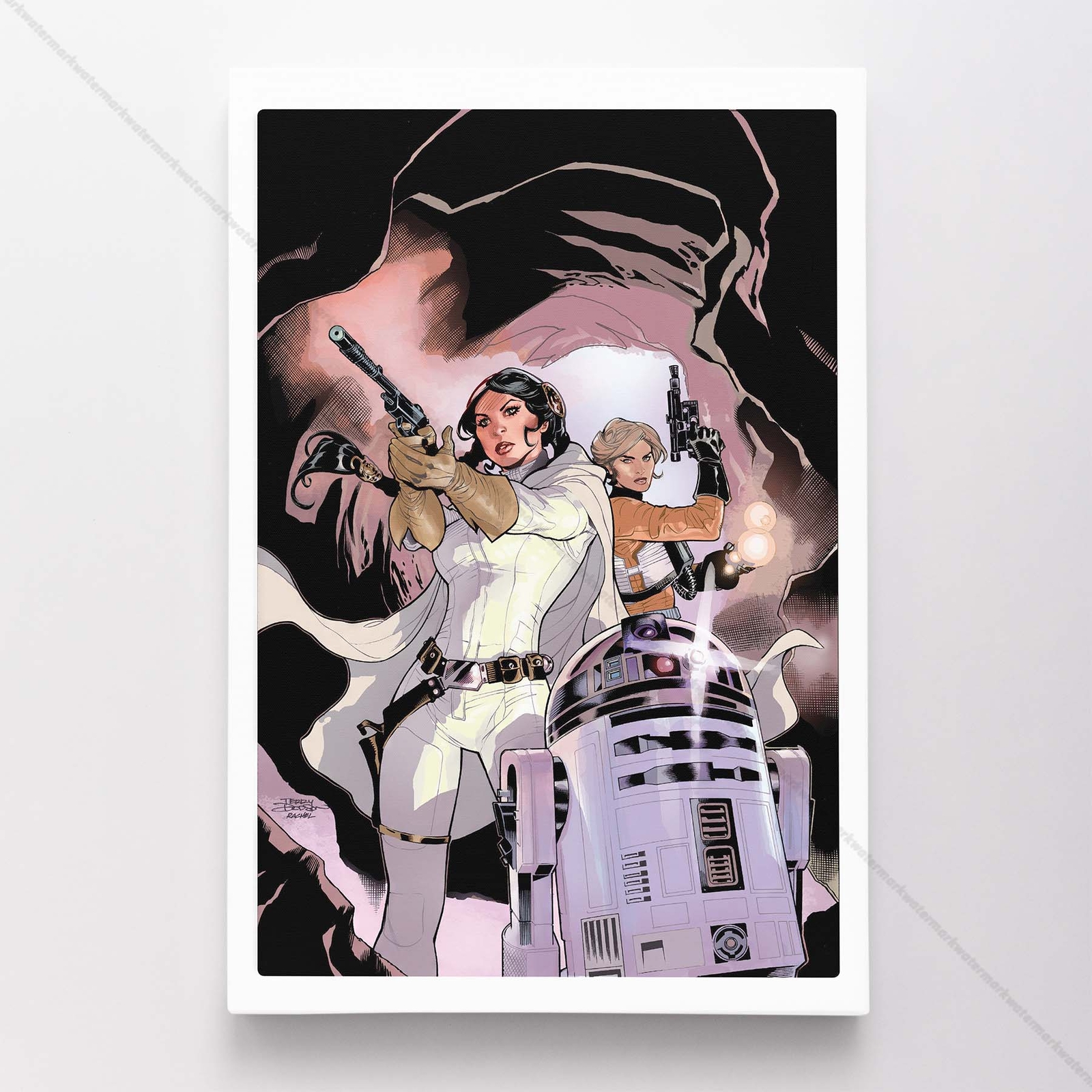 Princess Leia Star Wars Poster Canvas Movie Comic Art Print #79