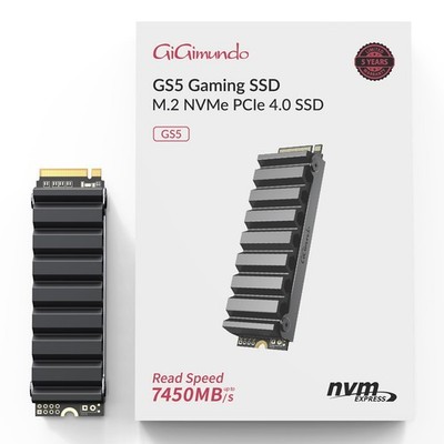 GiGimundo Memorie GS5 1TB PCIe Gen 4.0x4 NVMe M.2 SSD Interno con (M5b)