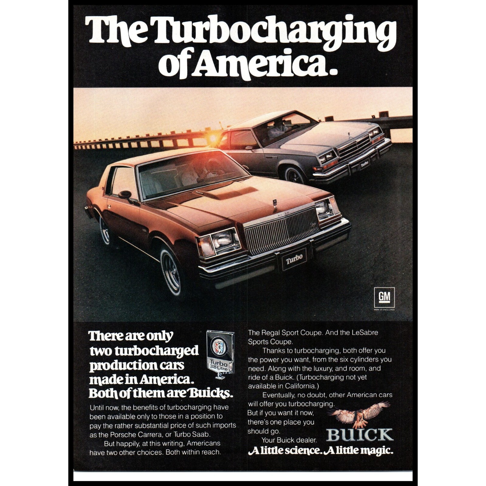 1978 Buick Regal and LeSabre Sport Coupe Turbo Vintage Print