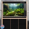 Underwater Aquarium Background Underwater Aquatic Plants with Sunbeams Fish Tank Background Rock with Lush Moss Terrarium Background Aquarium Backdrop For Tank Decorations Poster Vinyl 30x18in