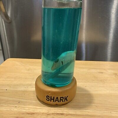 Vintage Real Shark in a Bottle Jar Oddities Specimen Marine Taxidermy