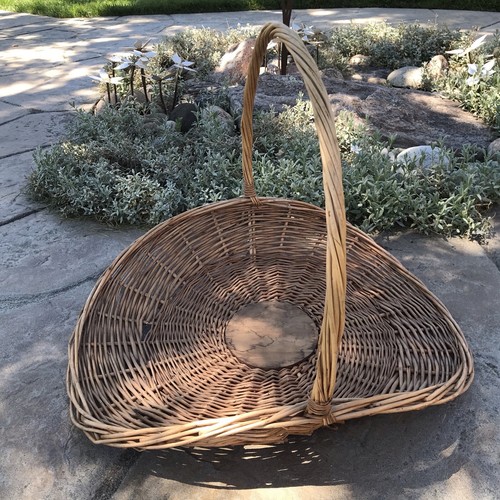 洋書 Antique Baskets and Basketry: A Collecto 洋書 Antique Baskets and Basketry: A Collecto Antique Cotton