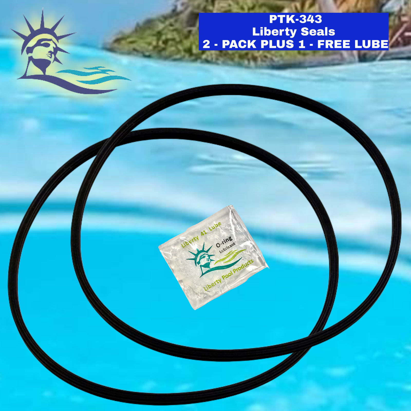 EMP サンセベリア Niaphat dwarf / SA399 U9-399 PLBC Tank O-ring PTK-343 (2 PACK) Replacement For Sta-Rite