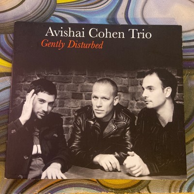 Avishai Cohen Trio - Gently Disturbed