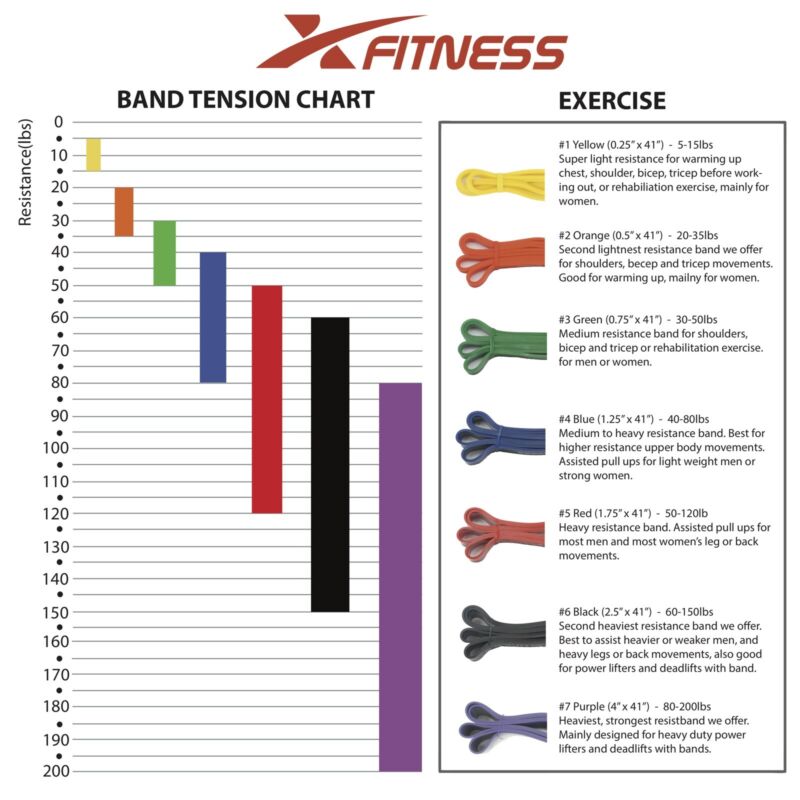 ::Pull Up Assist & Resistance Loop Band for CrossFit Weightlifting Powerlifting