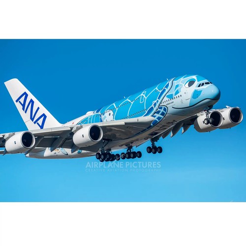 2/6 NEW!! Air.bus A380 1/150 約50cm Airbus A380 1/150 47cm Model - Premium Resin Plane