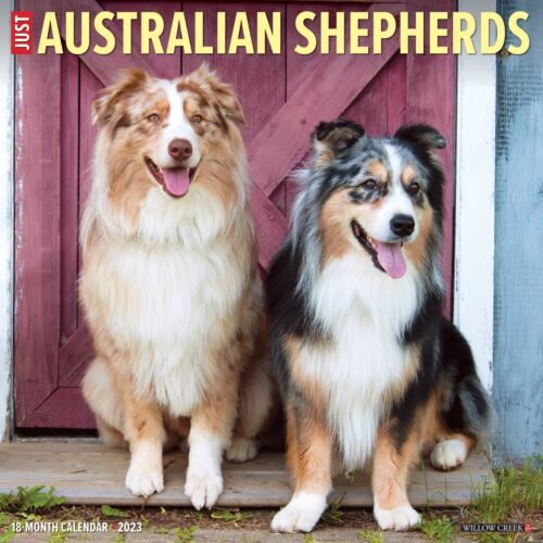 Just Australian Shepherds 2023 12" x 12" Wall Calendar (Free Shipping)