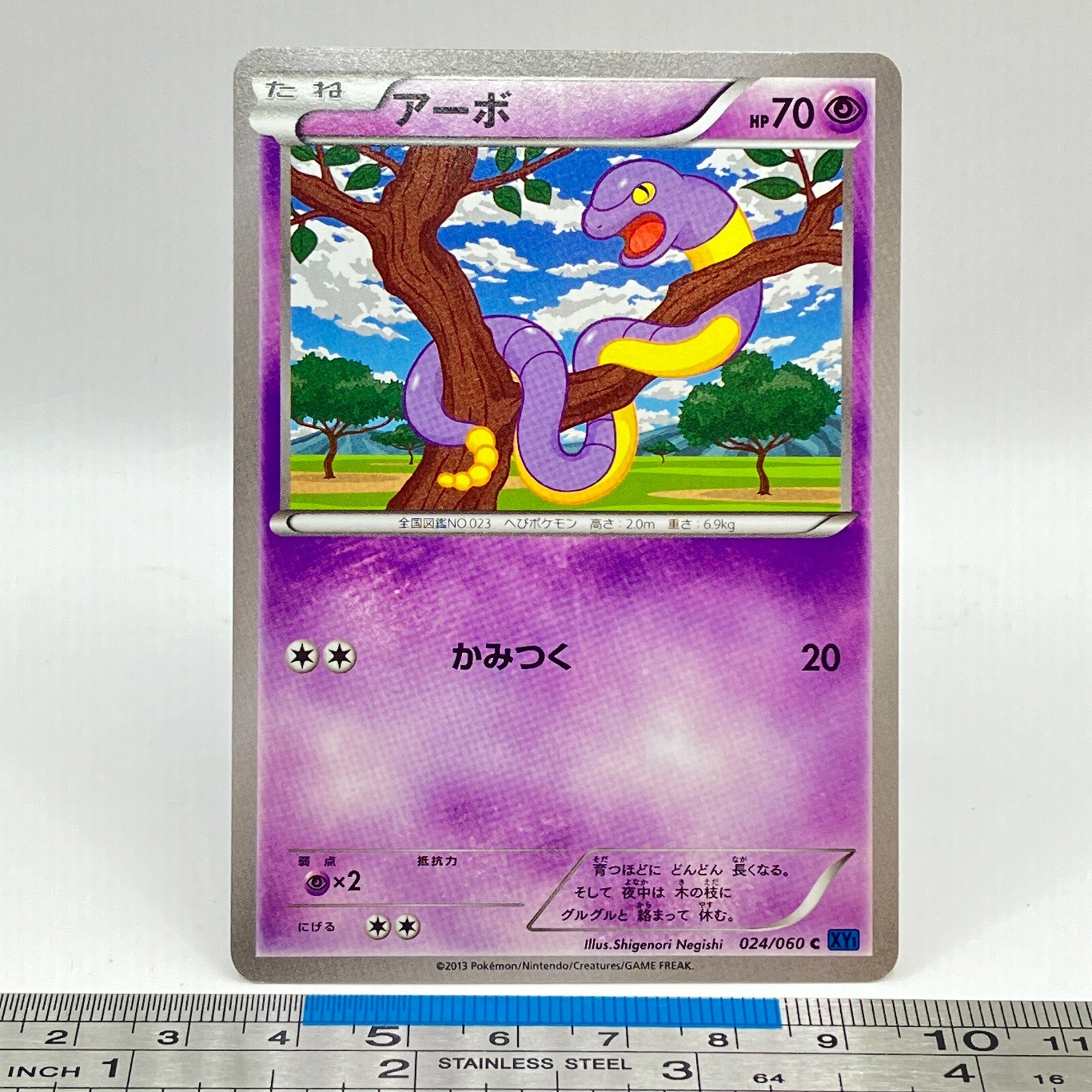 ポケモン - Kanan Kangaskhan 165/197 Uncommon | Obsidian Flames | Pokemon Card