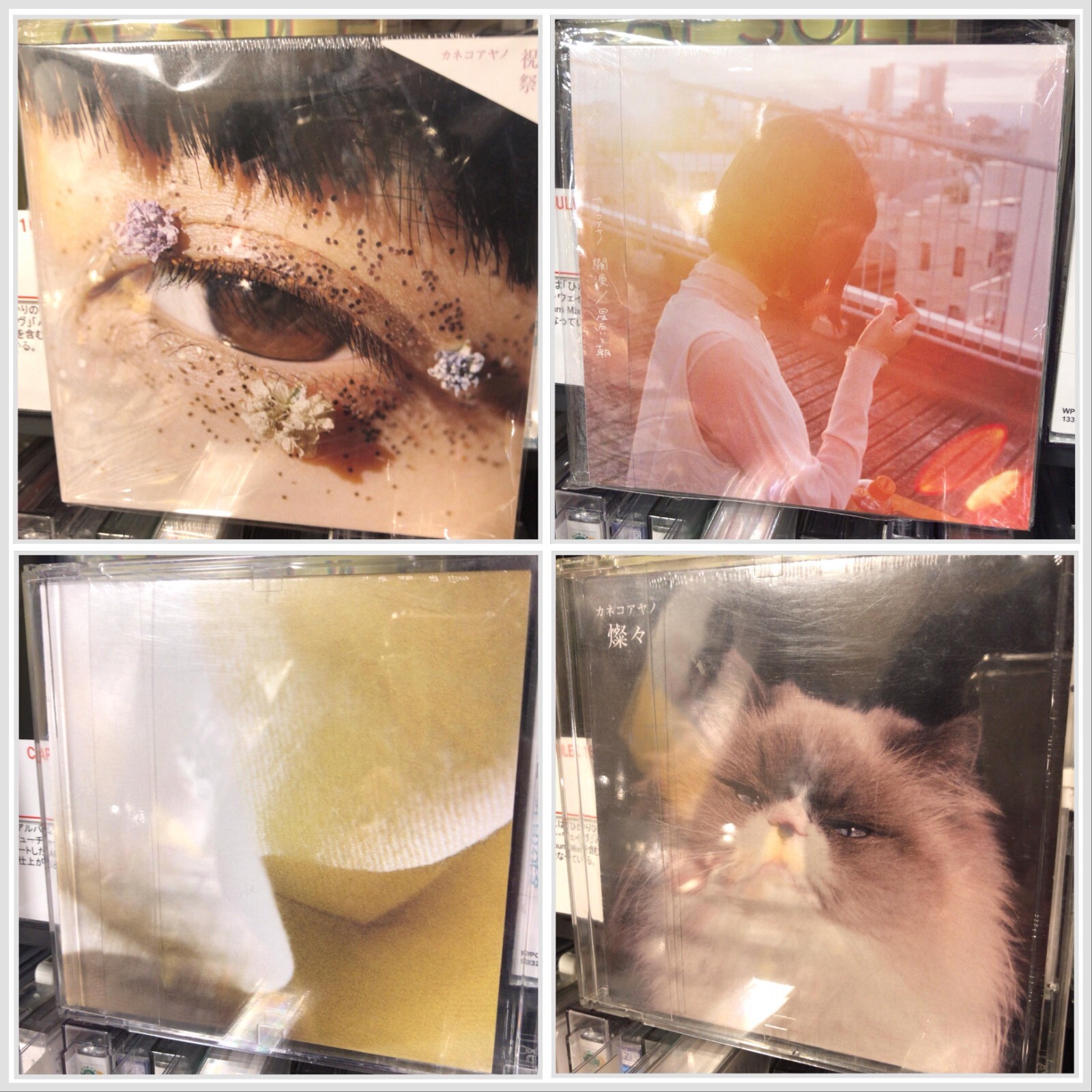 Ayano Kaneko / 4 CD set RANMAN, Yosuga, Festival, SANSAN NEW Sealed J-Folk Ayano Kaneko / 4 CD set RANMAN, Yosuga, Festival, SANSAN NEW Sealed J-Folk
