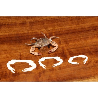 Cohen's Crab Claws