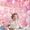 Wonmelody Goose First Birthday Decorations for Girl Pink One Silly Goose Balloon Banner Silly Geese Birthday Decor Farm Animal First Anniversary Decorations Duck Bday Funny Geese Party
