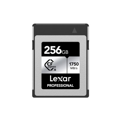 256GB Professional CFexpress Type B Silver Series Memory Card, for Photograph...