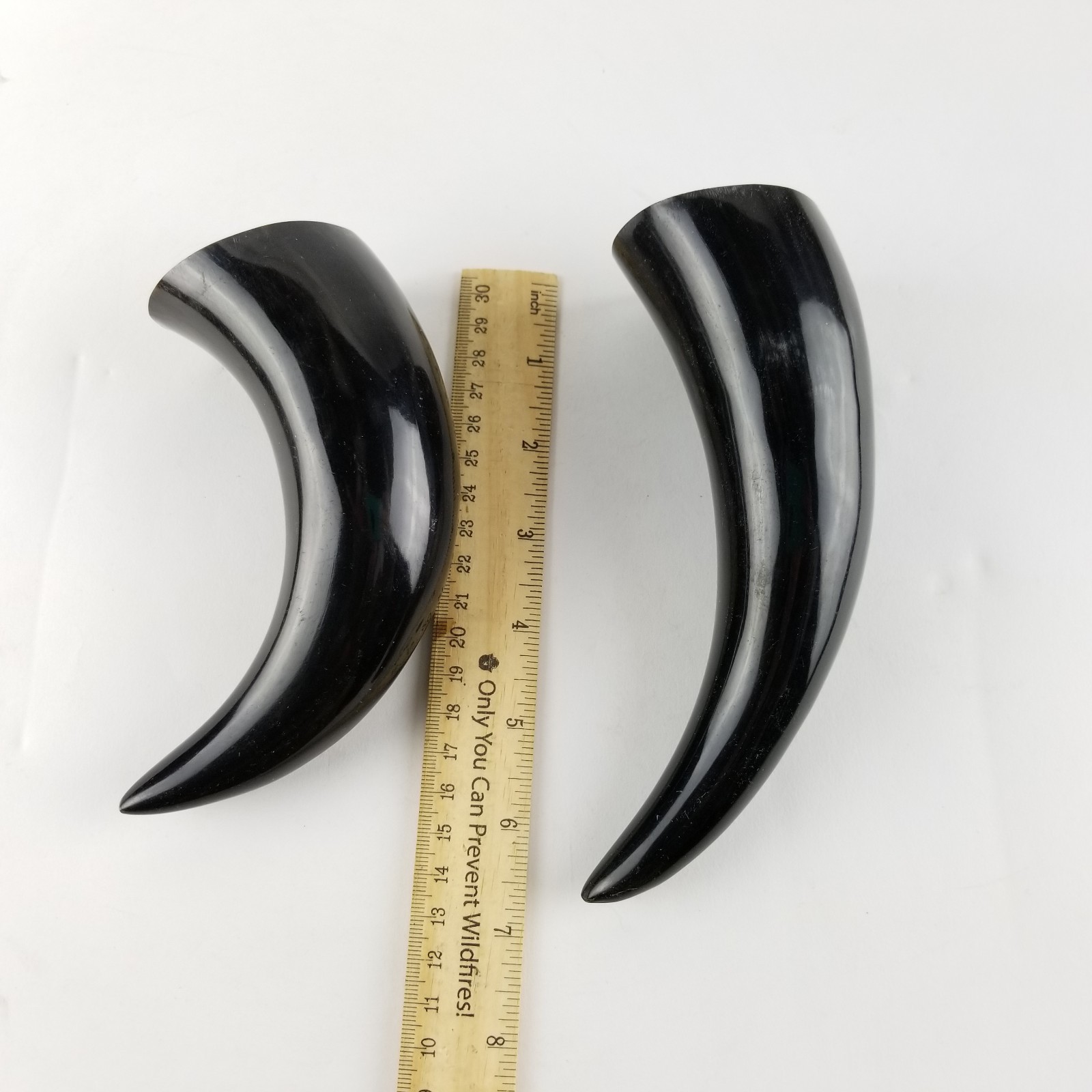 Polished Steer Cow Horn Lot of 2 Black White Markings Curved Taxidermy Crafts