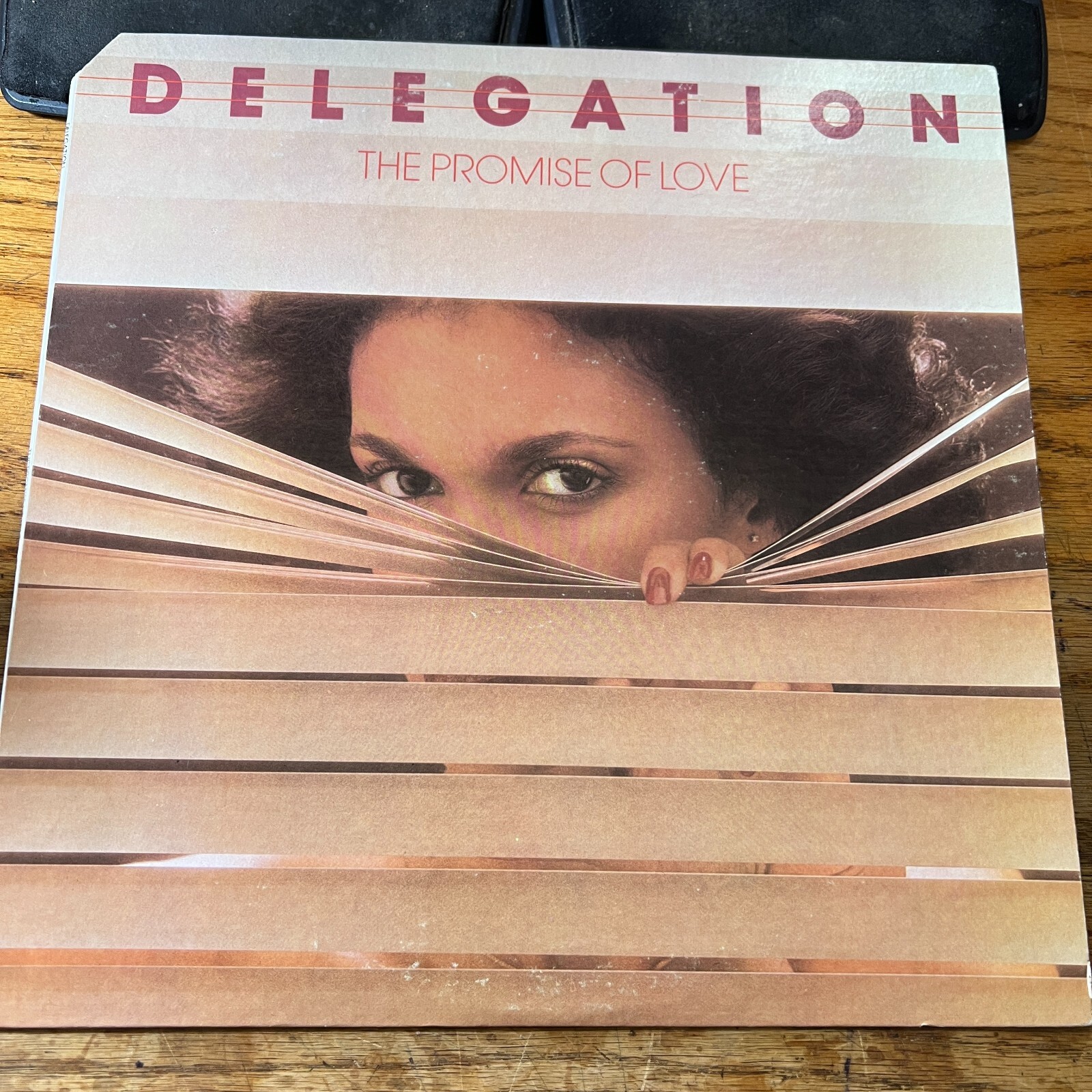 DELEGATION OH HONEY オリジナル12インチ Oh Honey - Delegation