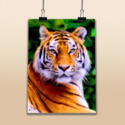 Tiger Copy of Painting Wild Animal Nature Large Poster Big Cat Drawing Feline