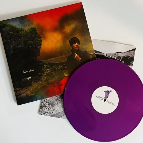 Sharon Van Etten/We’ve Been Going ~/LP Sharon Van Etten - We've Been Going About This All Wrong