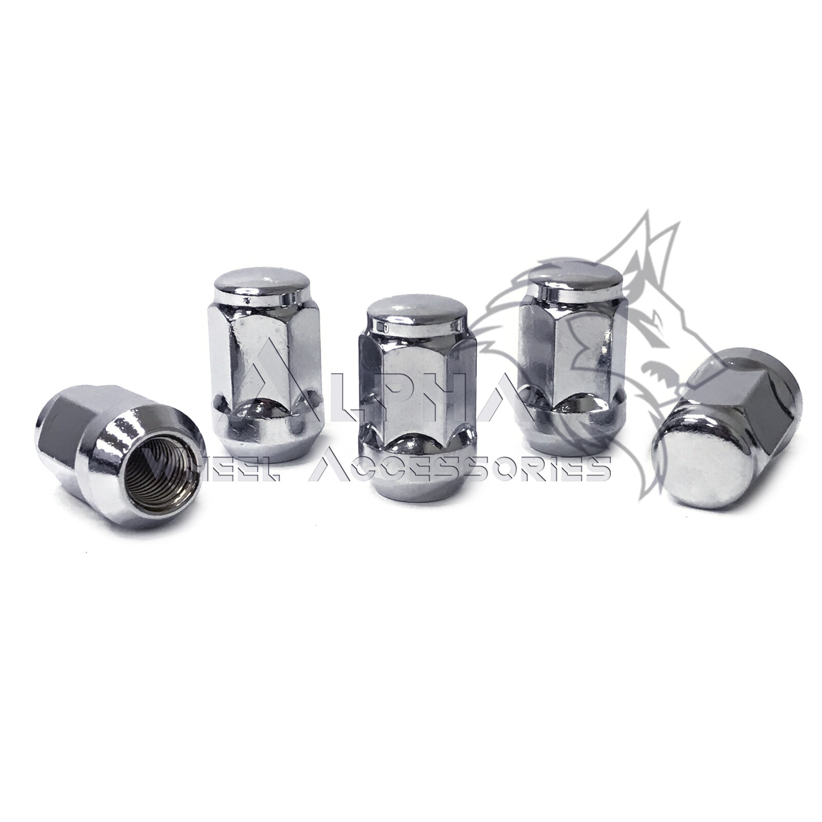 https://i.ebayimg.com/00/s/MTYwMFgxNjAw/z/yuIAAOSwB01hR-Nb/$_57.JPG?set_id=8800005007