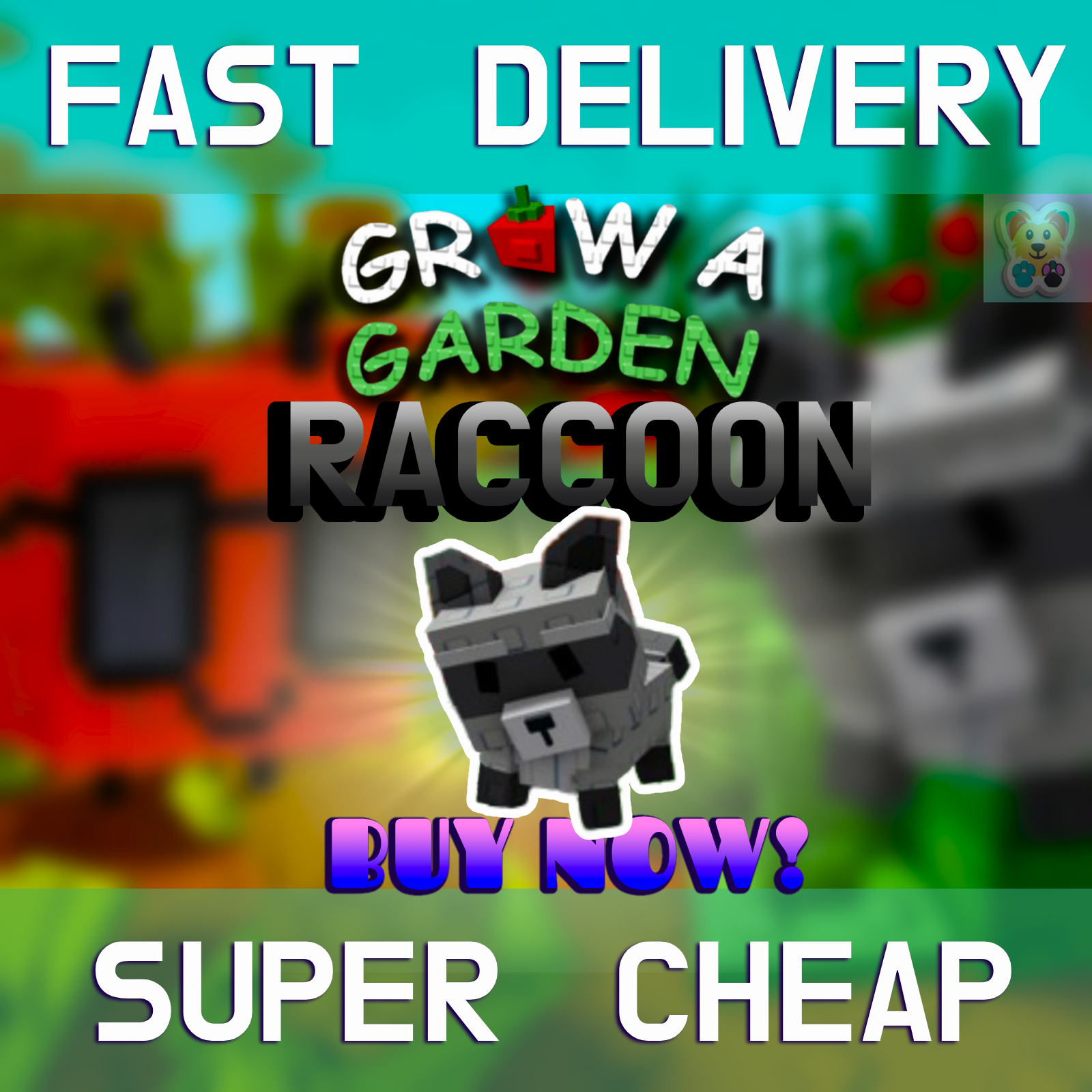 🦝RACCOON🦝 - 💰SHECKLES💰 - Grow a Garden PET | CHEAP