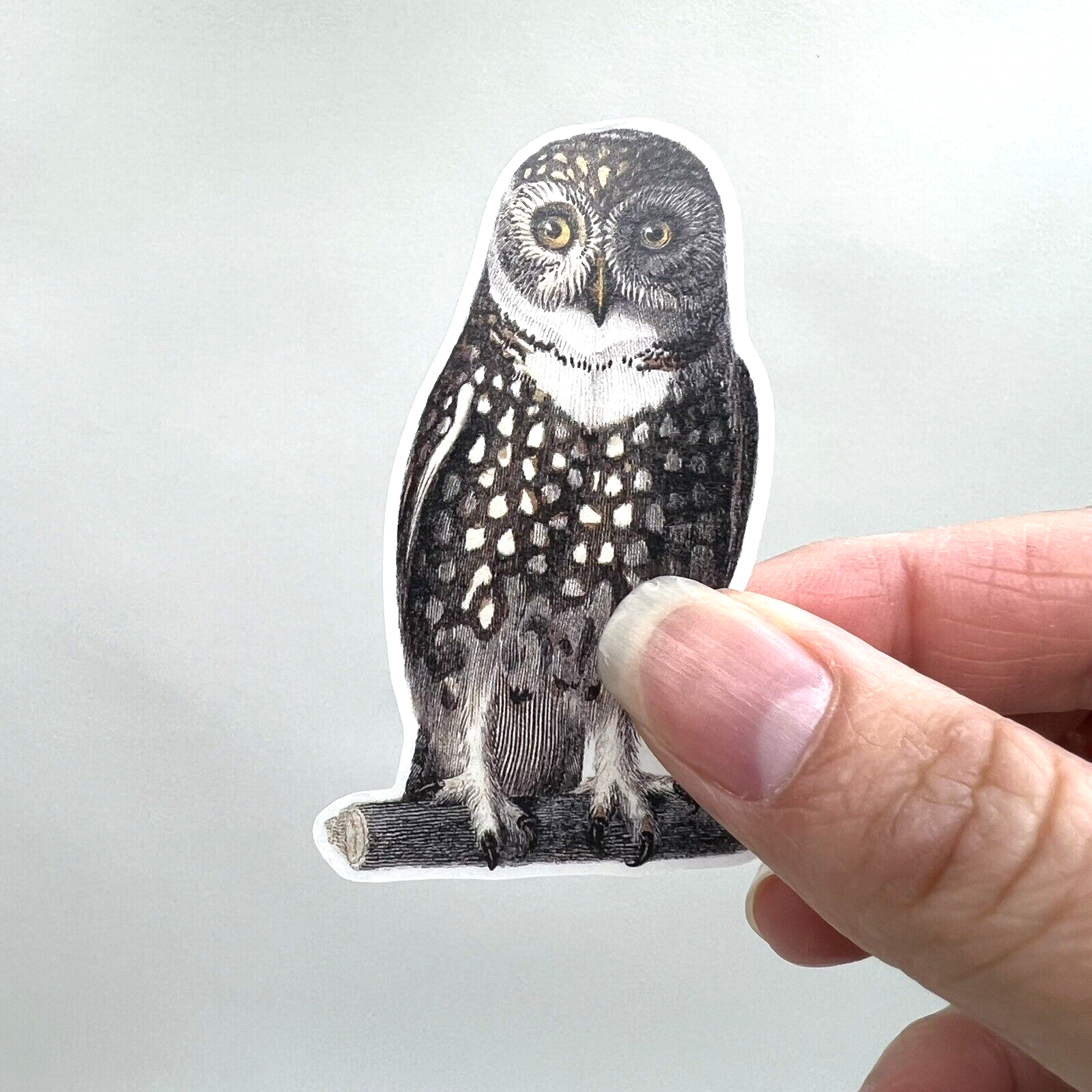 Owl Washi Paper Stickers Vintage Style Scrapbook Junk Journals Collage