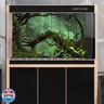 Forest Aquarium Background Jungle Plants Lush Green Trees Reptile Habitat Background Foggy Rainforest Natural Landscape Fish Tank Background Misty Rainforest Terrarium Background Vinyl 24x16in