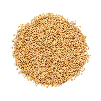 Organic Clover Sprouting Seeds – Non-GMO, Kosher, Vegan, Raw – by Food to Live