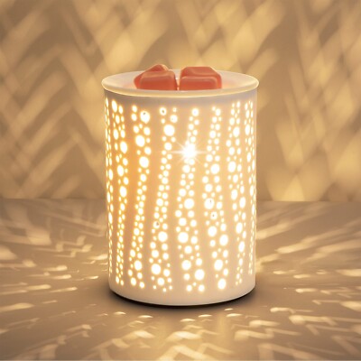 PALANCHY Wax Melt Warmer Ceramic Oil Burner Electric Candle 