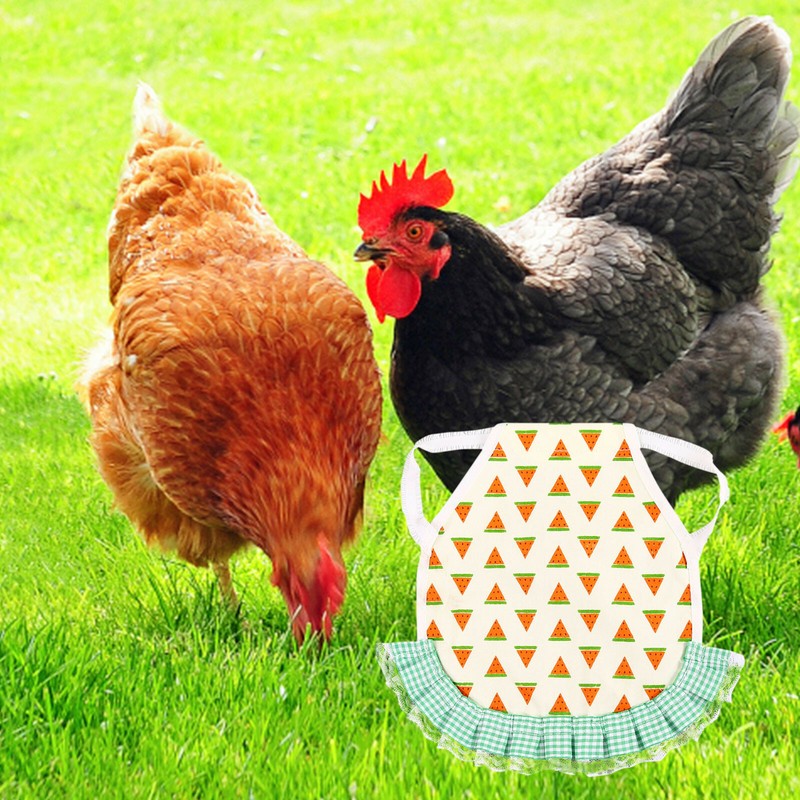 6pcs Chicken Saddle For Hens Colorful Waterproof Protector For Back And