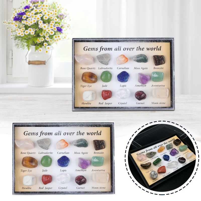 S Early Education Fossil Stone Set
