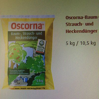 Oscorna - Baum-, Strauch- und Heckendünger 10,5 kg - Dünger Humus Strauchdünger