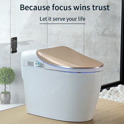 Elongated Electric Smart Toilet Antibacterial Auto Flush Night Light LCD Display