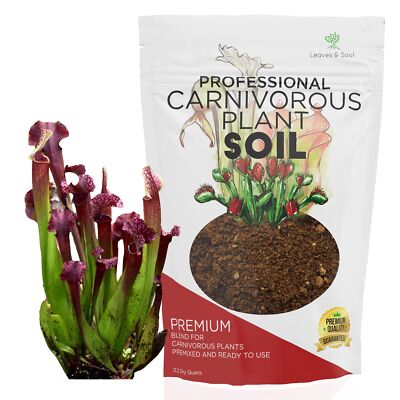 Professional Carnivorous Plant Soil | Large 2.2 Quarts | Venus FlyTrap Soil
