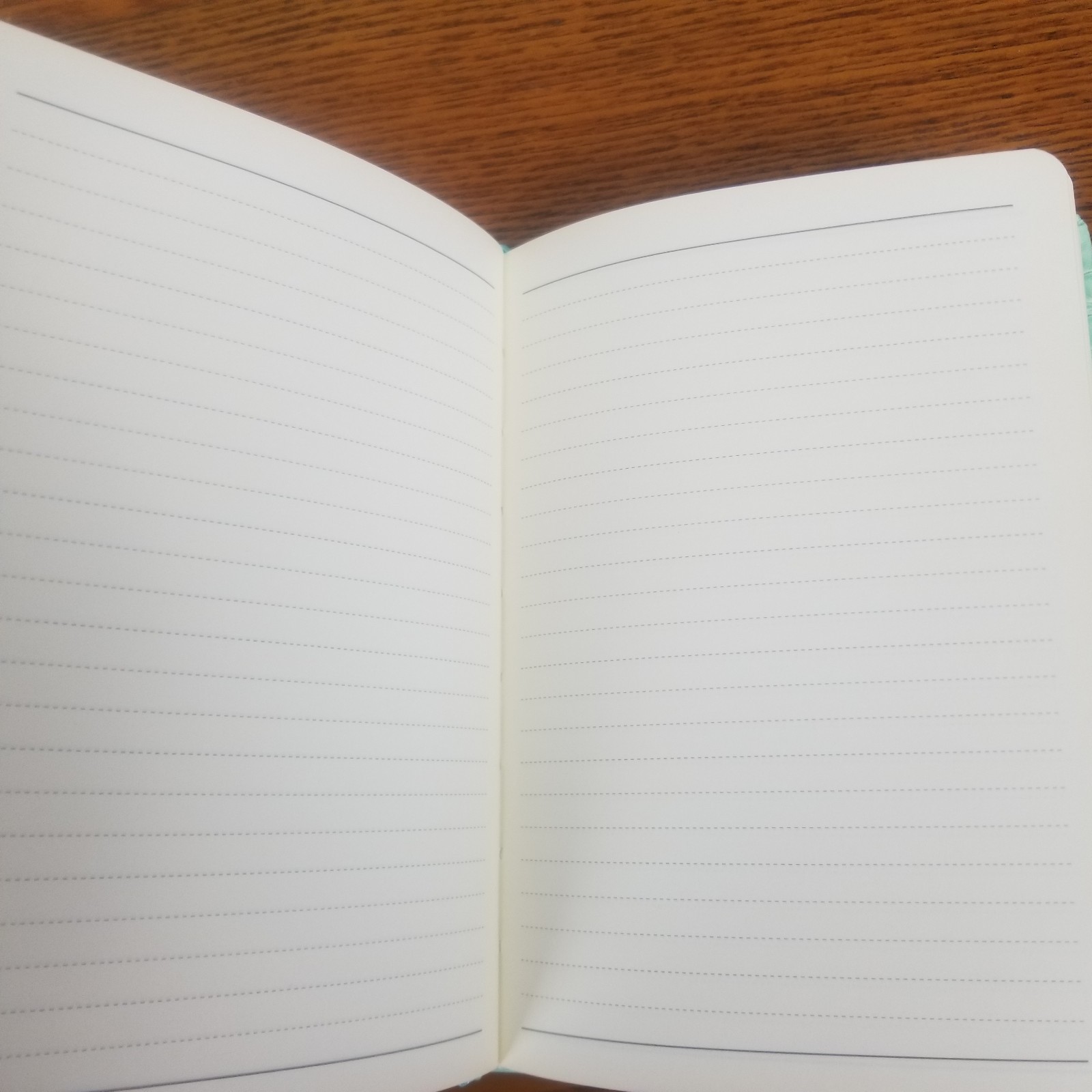 Journal Diary Green Aqua 192 Lined Pages Ribbon Bookmark PlanAhead 7.25X5.25