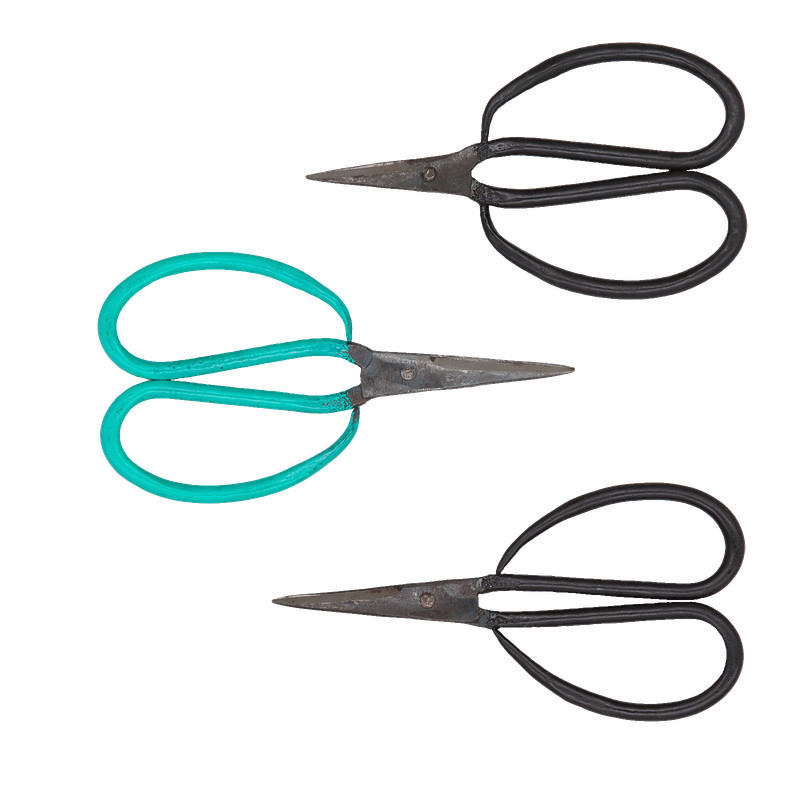 Authentic Blades Tho Klein, Asiatische KÃ¼Chenschere