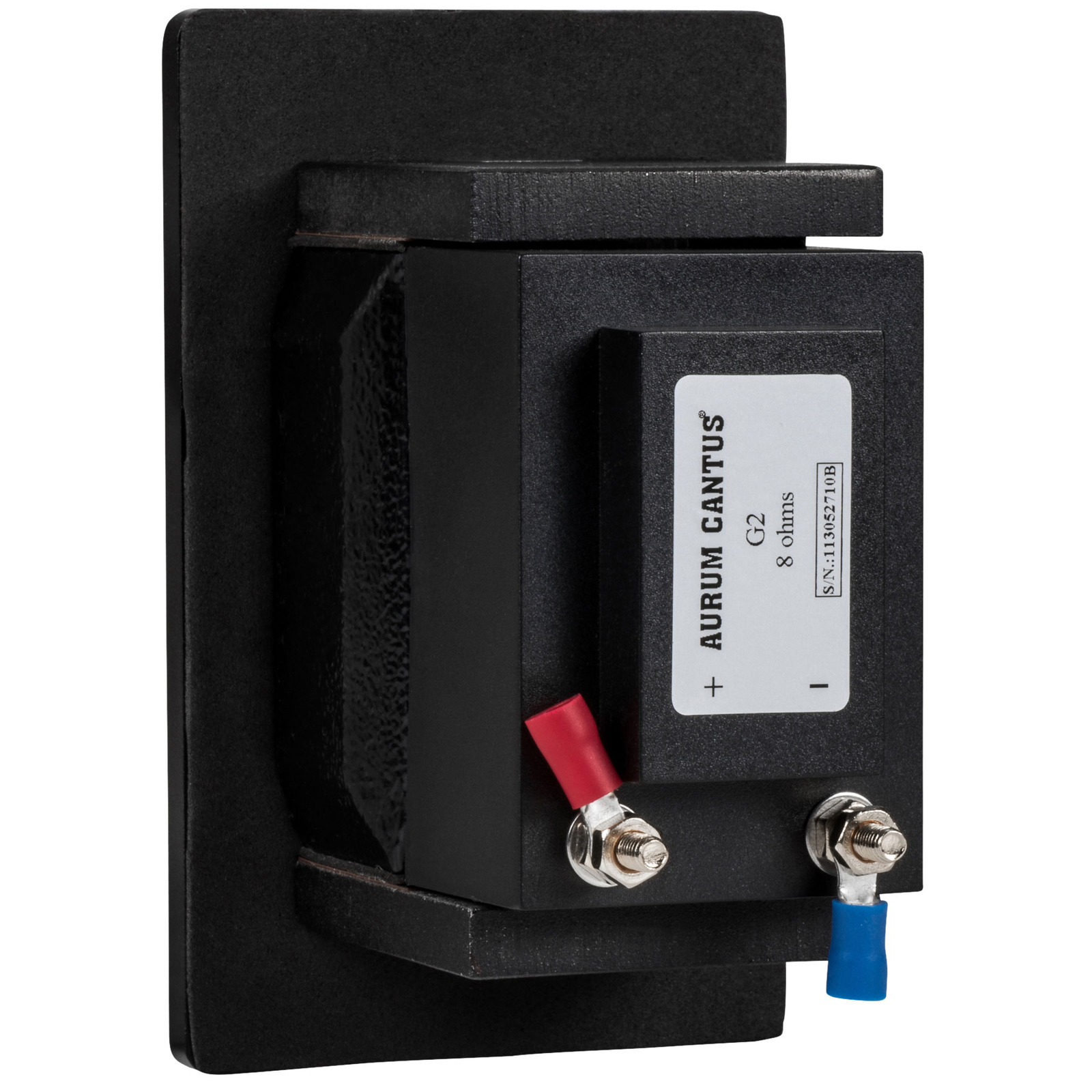 aurum cantus g1 ribbon tweeter