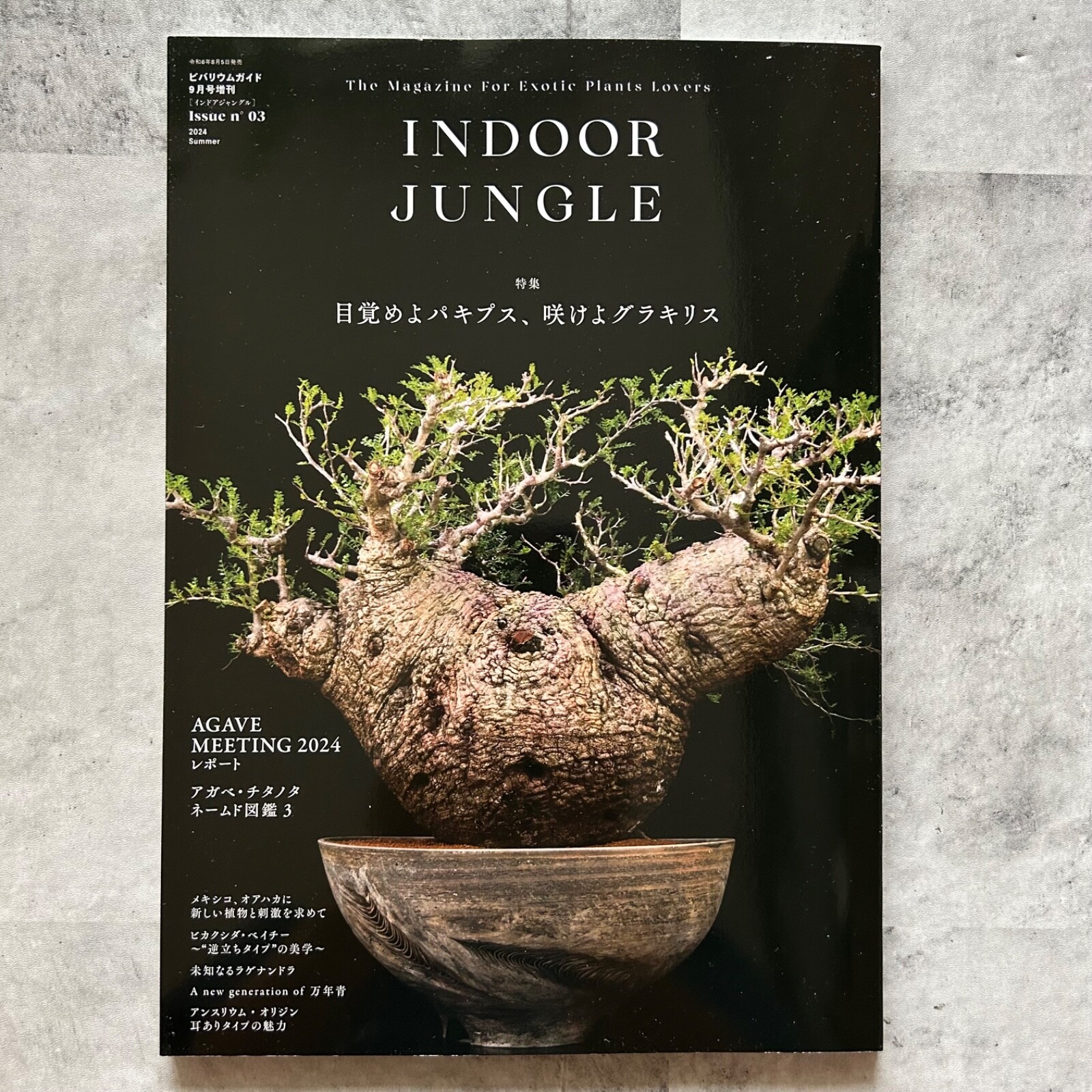 INDOOR JUNGLE 2024spring インドアジャングル INDOOR JUNGLE No.3 2024 Japanese magazine Japan | eBay