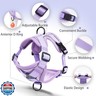 Jolifield No Pull Dog Harness with Leash Set for Small Sized Dog, Reflective Adjustable No Choke Front Clip Cat Vest Harness with Breathable Mesh, Comfortable Soft Padded Pet Vest, Purple S