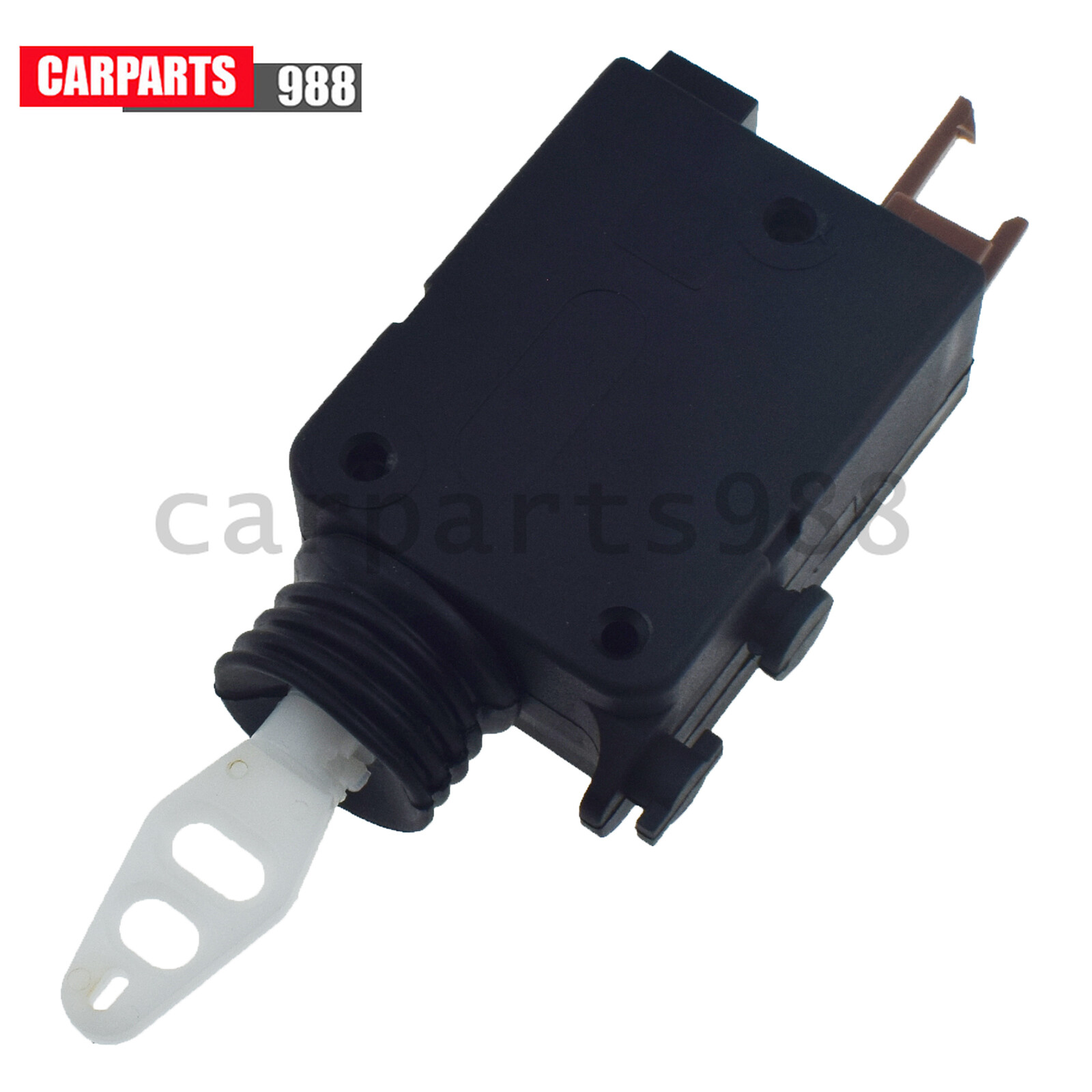 その他 CD Protein neddylation and its role in health and diseases