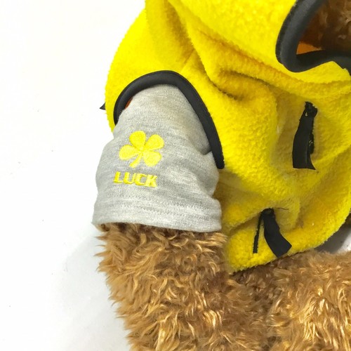 Vintage Gund 2000 - 2001 Limited Edition Wish Teddy Bear LUCK With Tags Toy