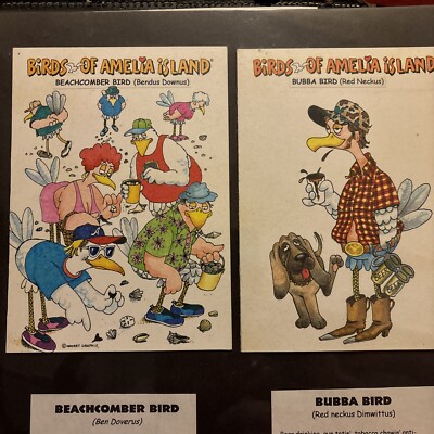Birds Of Amelia Island Comic Postcards Lot Fernandina Beach Florida Local Humor