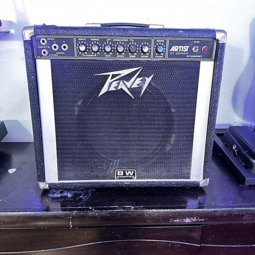 31ゆぱ さん専用 PEAVEY classic400