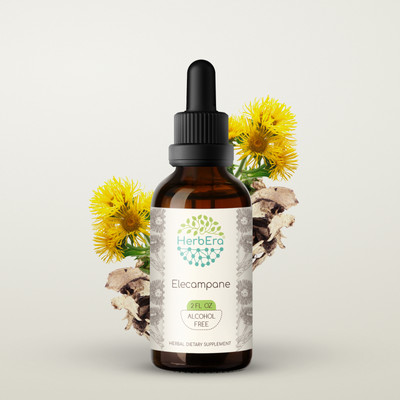 HerbEra Elecampane Alcohol-FREE Tincture, Organic Elecampane (Inula Helenium)