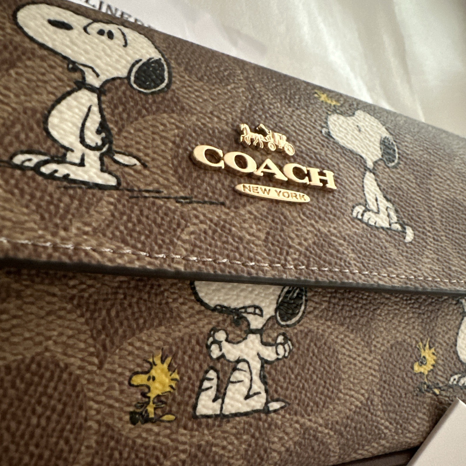 Coach X Peanuts Hailey Flap Bag In Signature Canvas With Snoopy Print CBJ73