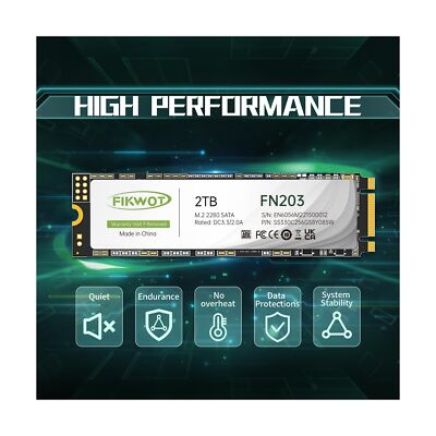 FN203 M.2 SATA SSD - SLC Cache 3D NAND TLC SATA III 6Gb/s M.2 2280 NGFF Inter...