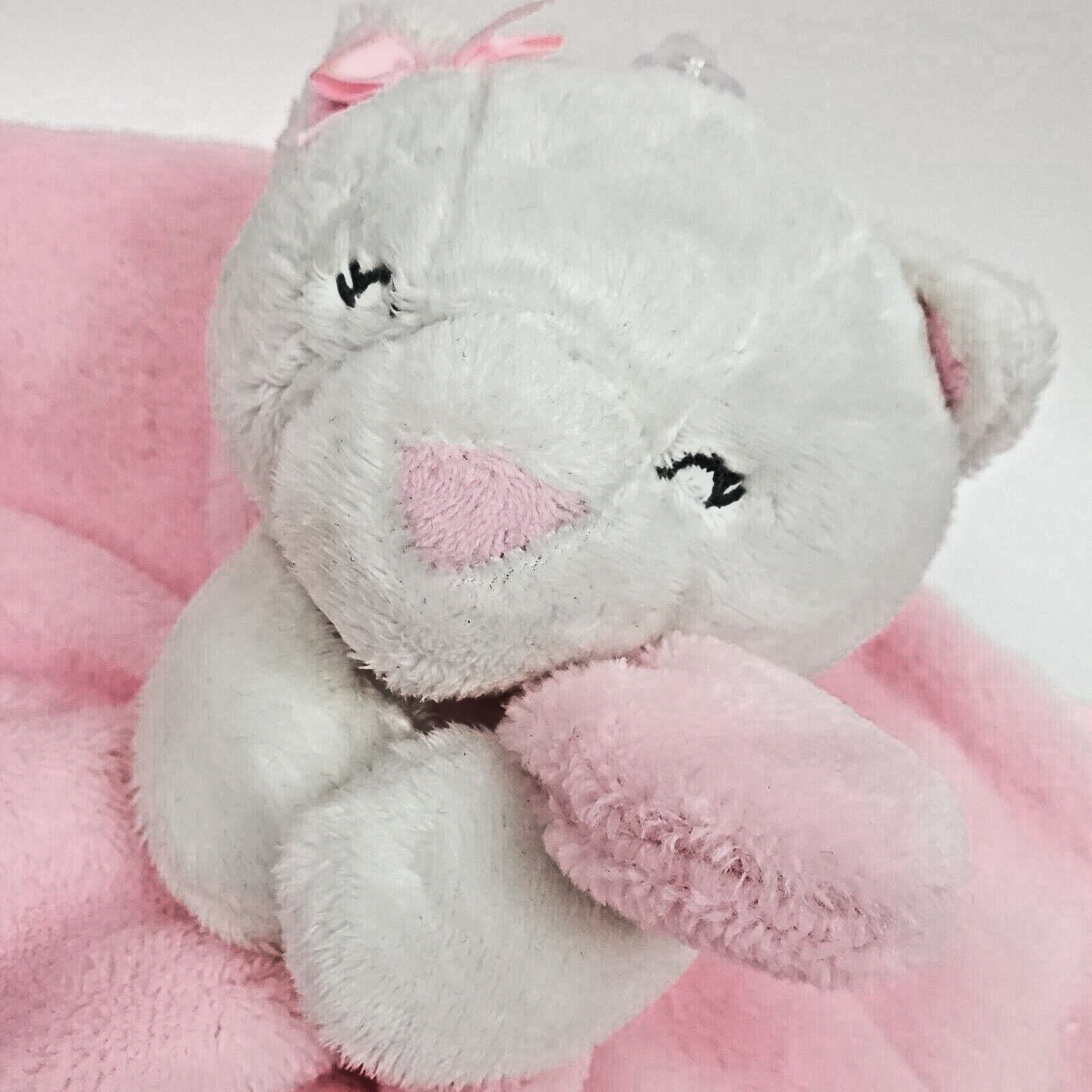 Pink Plush Soft 2020 14x14