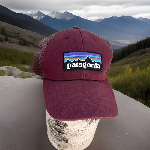 LN Patagonia Mesh Canvas Patch Mountains Logo Formed Bill Burgundy