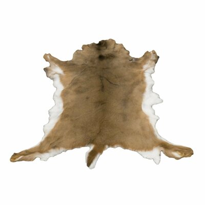 Deerskin Hair On Hide Full Deer Hide Soft Rug Pelt
