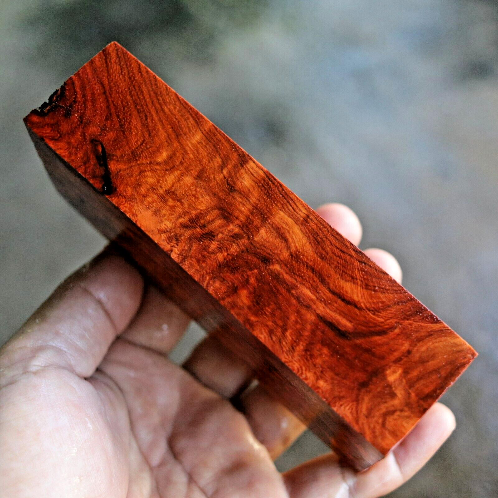 Amboyna Burl, Knife Handle Blank Turning, Exotic Wood 1 7/8"x 5"x 1 3/8" #392 Amboyna Burl, Knife Handle Blank Turning, Exotic Wood 1 7/8"x 5"x 1 3/8" #392