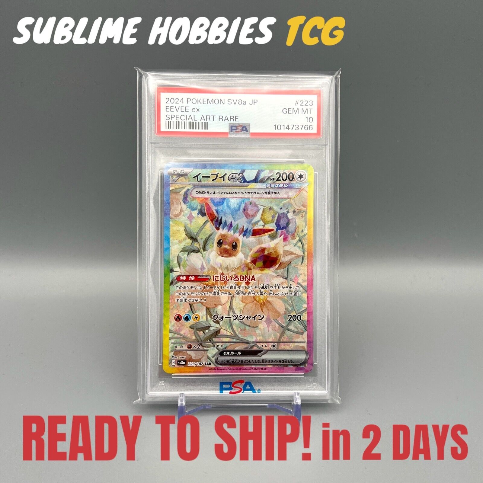 PSA 10 Eevee ex SAR 223/187 Terastal Festival sv8a 2024 PSA 10 Eevee ex SAR 223/187 Terastal Festival sv8a 2024